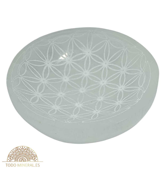 Cuenco Slenita 10 Cms Para Limpieza Minerales Grabado Flor De La Vida - TODOMINERAL