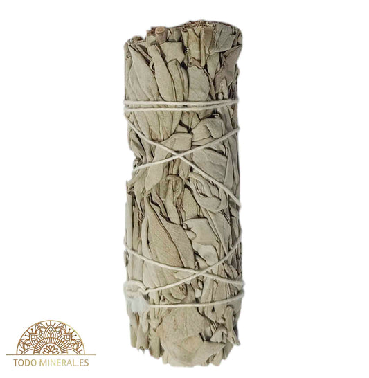 Atado De Salvia blanca Peso 30 gramos 10,5 Cms - TODOMINERAL