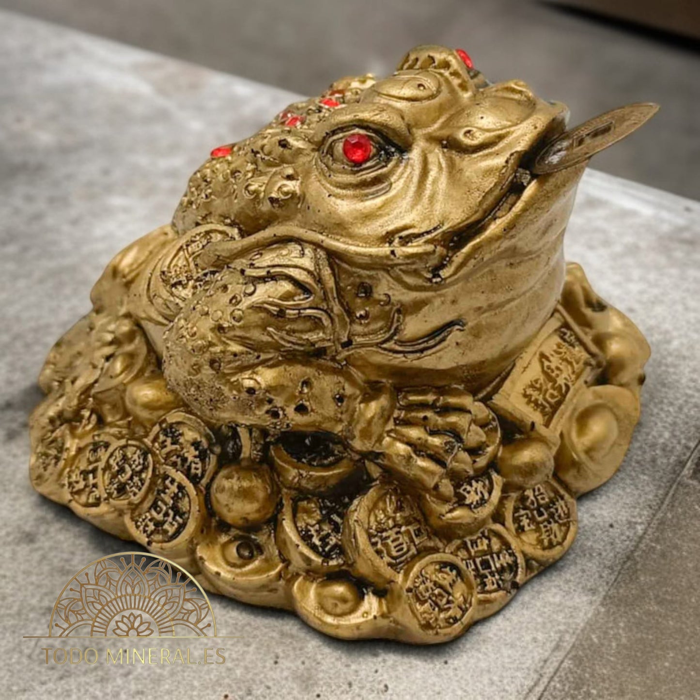 Figura Rana Feng Shui 10 Cms Aproximado FENG SHUI