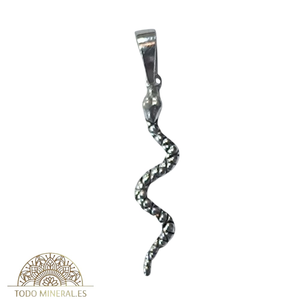 Colgante De Plata 925 Serpiente 22 mm 55841 TODOMINERAL