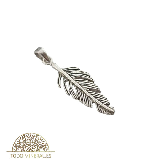 Colgante De Plata 925 Pluma 22 mm 55814 TODOMINERAL