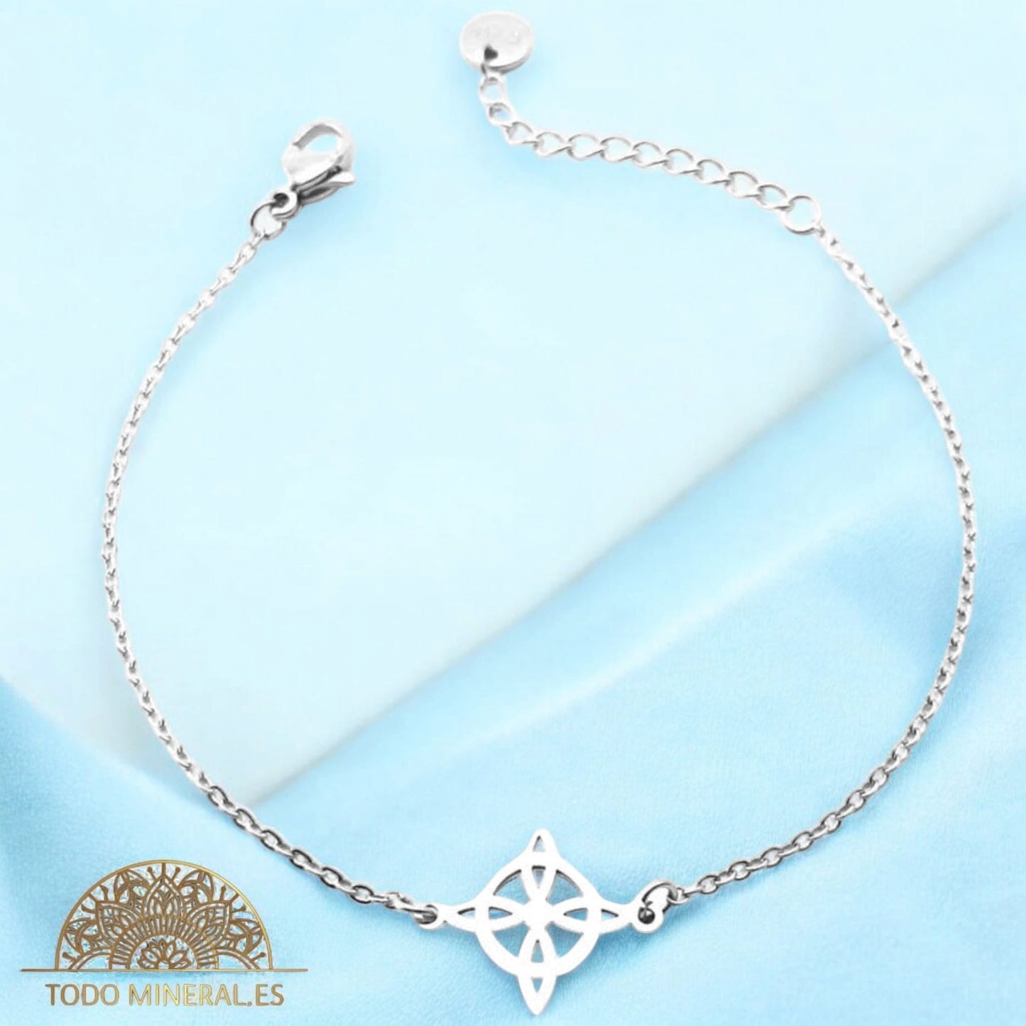 Pulsera Acero Con Dije Nudo De Bruja 61048-01 PULSERA ACERO