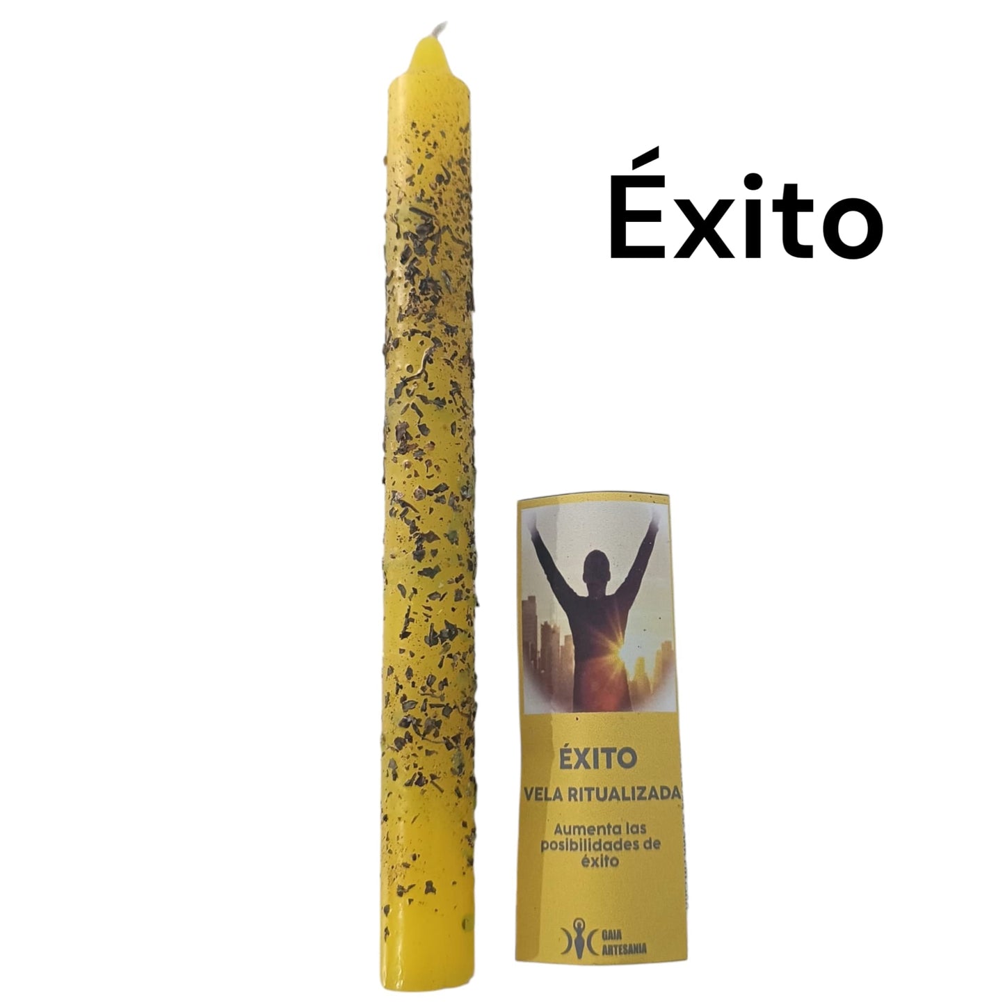 Vela Ritualizada ELIGE LA TUYA TODOMINERAL