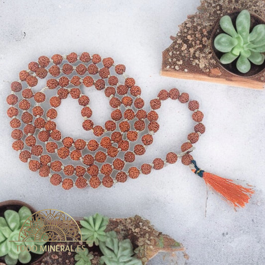 Japa Mala 108 Cuentas 6 mm Rudraksha TODOMINERAL