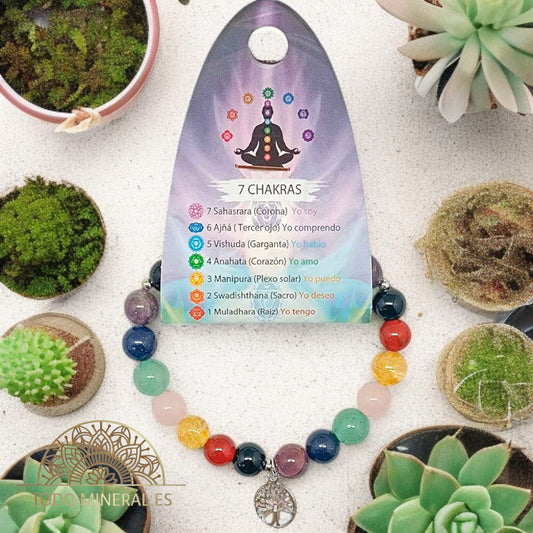 Pulsera 7 Chakras Piedra Natural Y  Plata 925 Arbol De La Vida TODOMINERAL