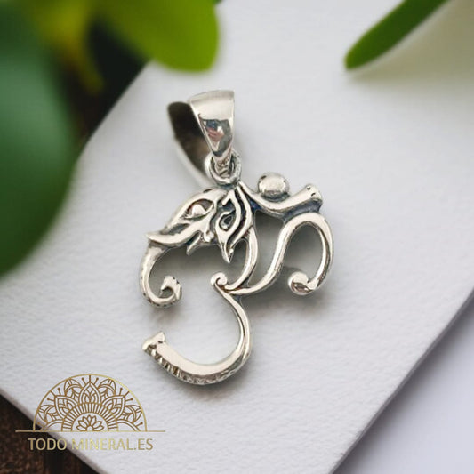 Colgante Plata 925 Símbolo Om Con Cabeza Elefante TODOMINERAL