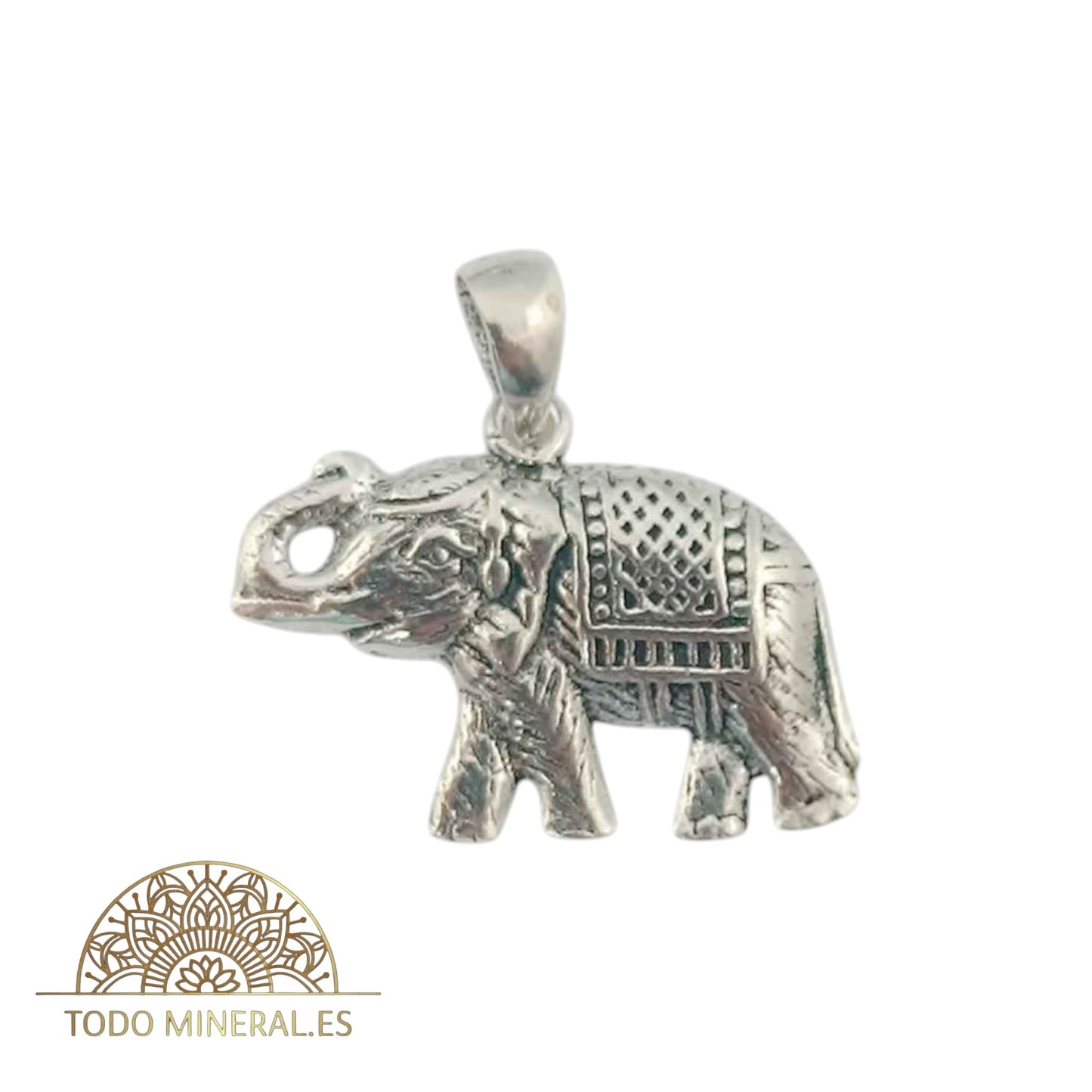 Colgante Plata 925 Elefante 15 X20 mm TODOMINERAL