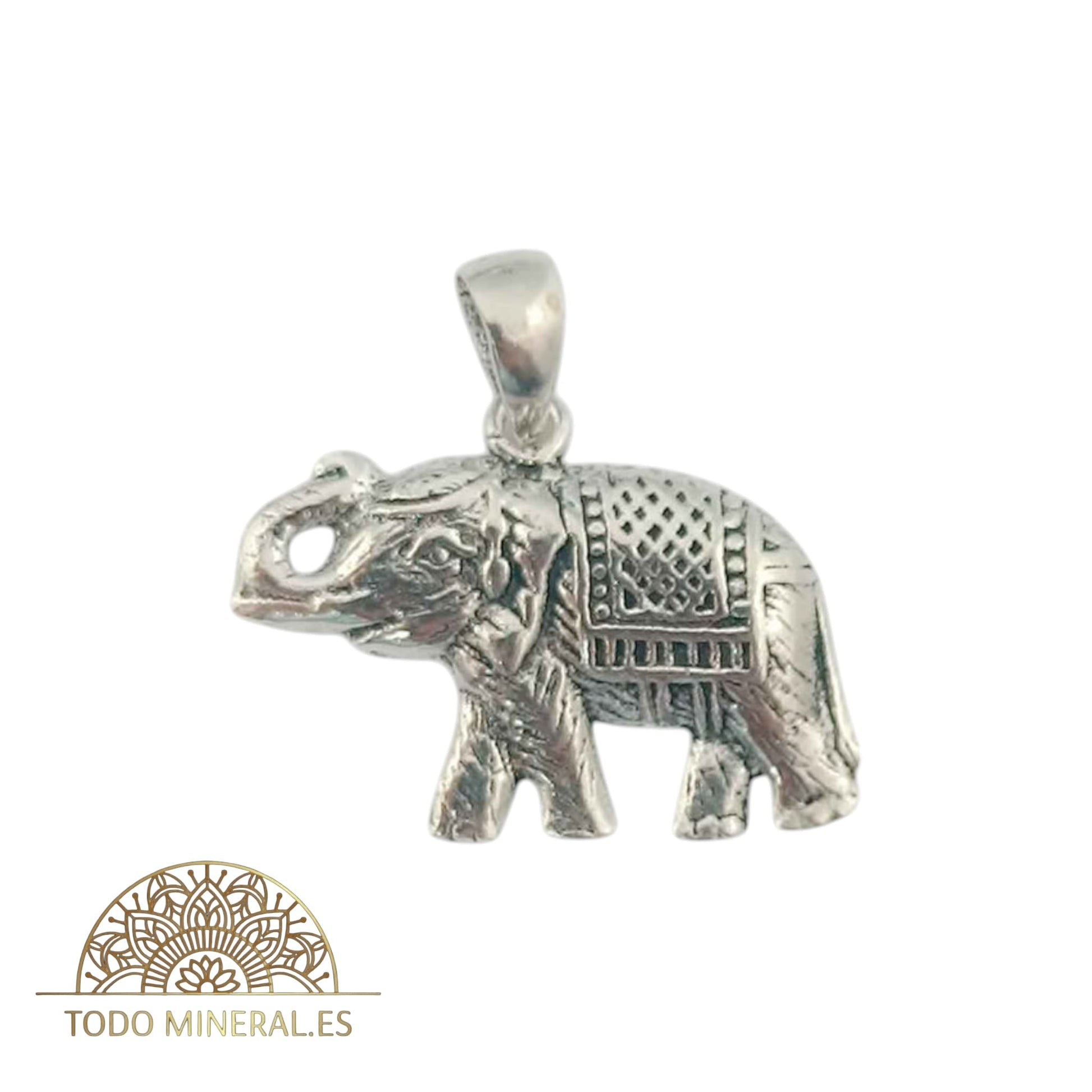 Colgante Plata 925 Elefante 15 X20 mm TODOMINERAL