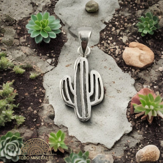 Colgante De Plata 925 Cactus 12 mm 55830 TODOMINERAL