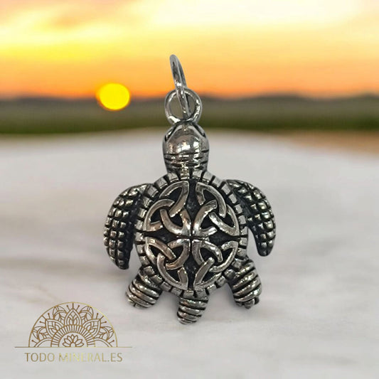 Colgante De Plata 925 Tortuga 20 mm 50314 TODOMINERAL