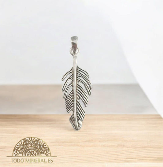Colgante De Plata 925 Pluma 22 mm 55814 TODOMINERAL
