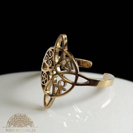 Anillo Adaptable Acero Nudo De Bruja TODOMINERAL