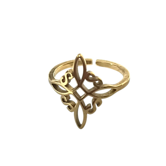 Anillo Adaptable Acero Nudo De Bruja ELIGE MODELO TODOMINERAL